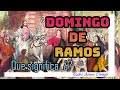 DOMINGO DE RAMOS - Que Significa? - Padre Arturo Cornejo