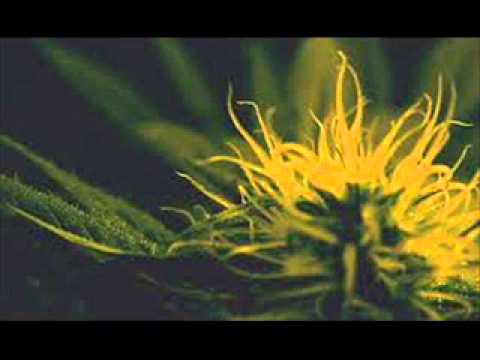 Solarstone Scott Bond Heatbeat AvB   Not Giving Up On 3rd Earth