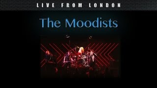 The Moodists - Double Life