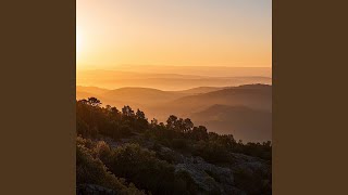 Golden Glow