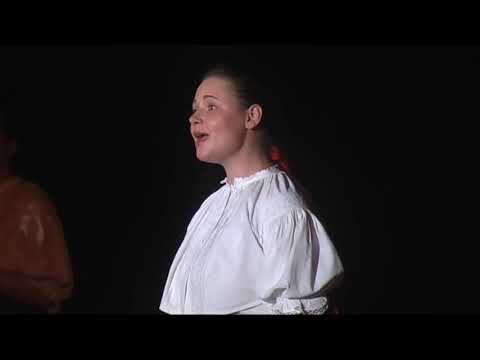 SLPT Ostravica - O stromu, o jabkach - 2009