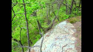 preview picture of video 'Zaleski State Forest - Bottom Loop (HD)'