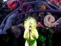Björk - Hidden Place 