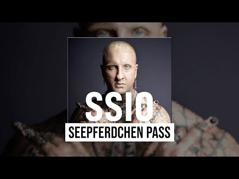 Video thumbnail for Seepferdchen Pass