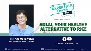 Expertalk Online: ADLAI, YOUR HEALTHY ALTERNATIVE TO RICE