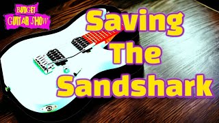 Saving the SANDSHARK