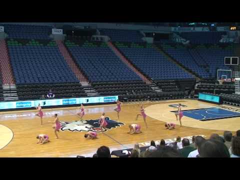 Augsburg College UPA Challenge 2009 "Pink"