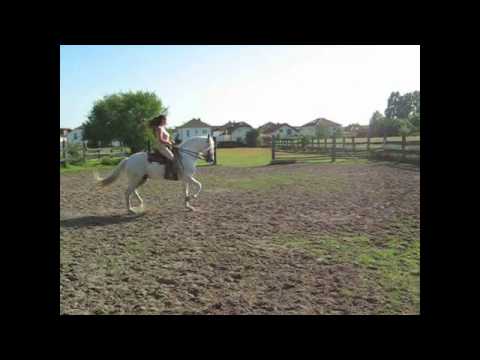 Flatwork - Therealmaxi (Maxi S Moon) music Ben E King instrum.