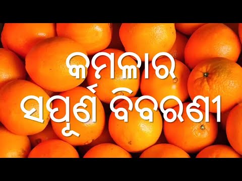 କମଳା ର ସପୂର୍ଣ ବିବରଣୀ,odia health tips of orange,odia benefits of orange,varkha mohapatra Video