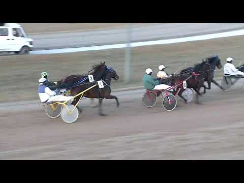 2021.12.04. 08. futam - KULIK FARM DÍJA - NYERETLEN KÉTÉVESEK VERSENYE