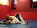STAGE DI SAMBO A ROMA 
