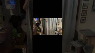 Which one is going to be my favorite?