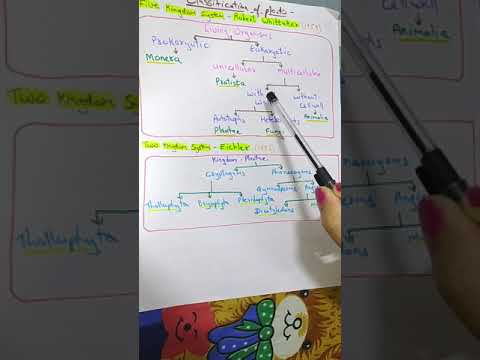CLASSIFICATION OF PLANTS
