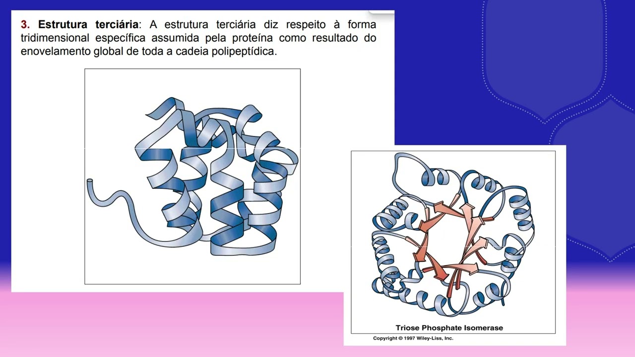 Proteínas