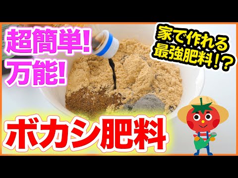 イラクサ肥料の作り方：無害な天然肥料から恩恵を受けるレシピは何ですか？  庭園