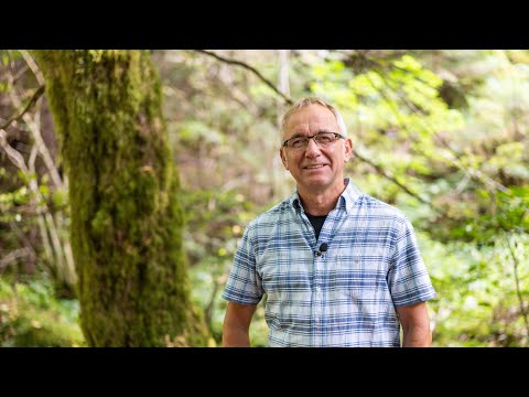 Martin Auch: Wie ein Baum gepflanzt an Wasserbächen