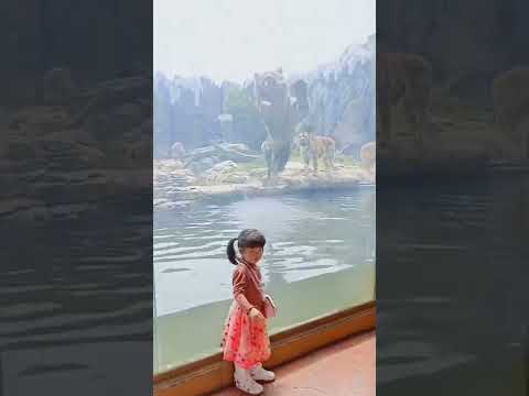 🔴|NEWS| TIGRE en Zoológico Intenta ATACAR NIÑA!!🐯 ÚLTIMA HORA! 🚨