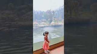 🔴|NEWS| TIGRE en Zoológico Intenta ATACAR NIÑA!!🐯 ÚLTIMA HORA! 🚨