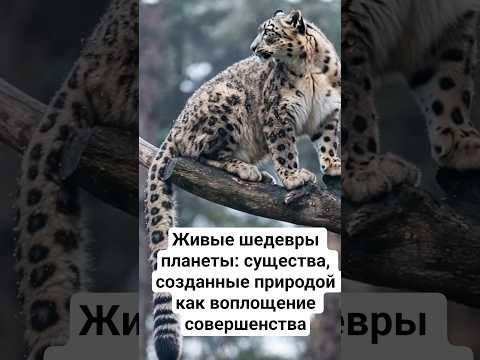 Живые шедевры планеты: существа, созданные природой как воплощение совершенства #животные #facts