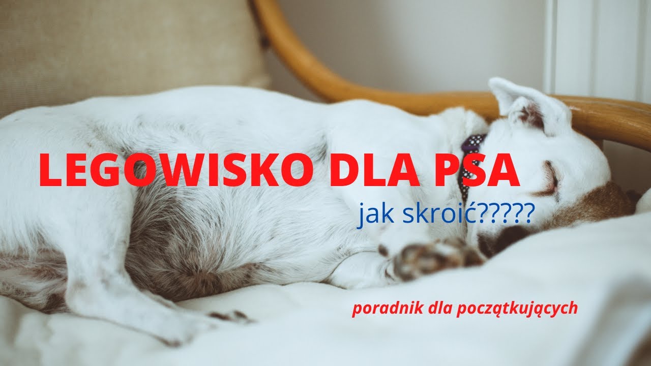 JAK SKROIĆ POKROWIEC NA LEGOWISKO DLA PSA