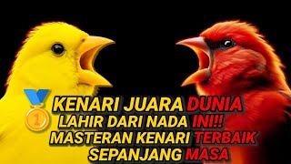 Download lagu Kenari Juara Dunia Lahir dari Nada Ini — Masteran Kenari Terbaik Sepanjang Masa! #kenarigacor mp3 Download lagu Kenari Juara Dunia Lahir dari Nada Ini — Masteran Kenari Terbaik Sepanjang Masa! #kenarigacor mp3