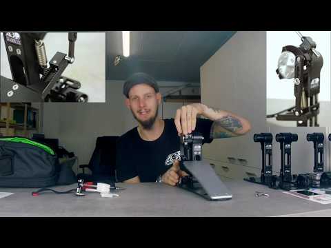 A New DARWIN Pedal? - Darwin FTW (DT #46)