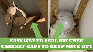 Easy Way to Seal Holes and Gaps in your Kitchen to Keep Mice Out!