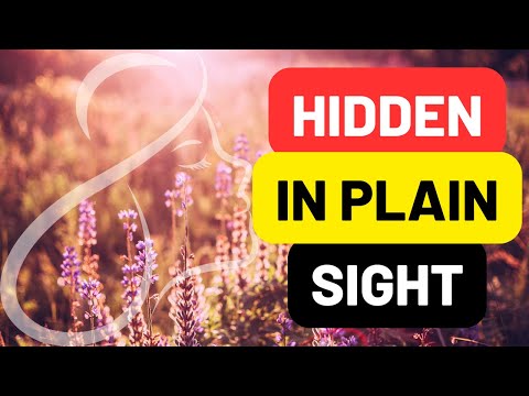 How to Spot High Masking Autistic Women