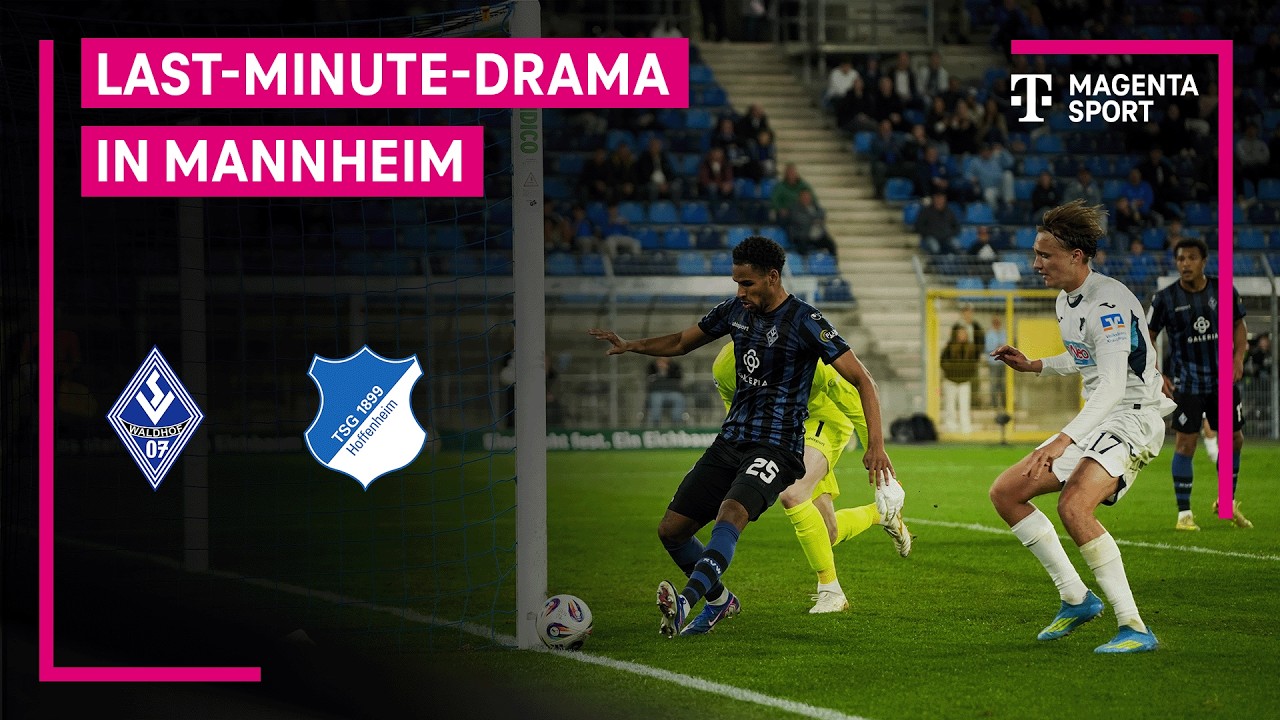 SV Waldhof Mannheim vs TSG Hoffenheim II U23 Highlights