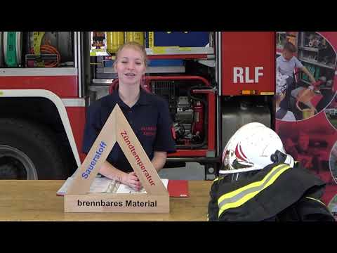 Online Dienstbetrieb Verbrennungsvorgang