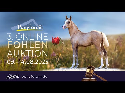 Campiona L Stute v. Dallmayr K / Cyriac WE