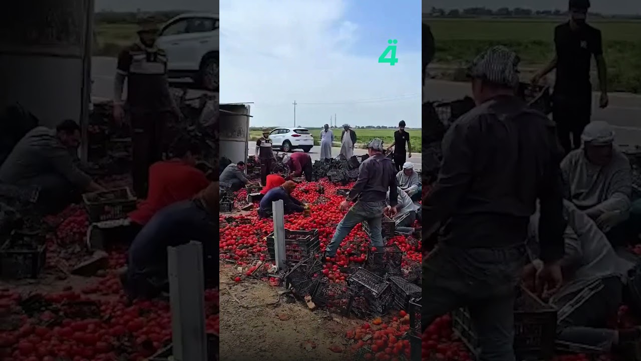 فيديو | انقلاب شاحنة محملة بالطماطم قرب مجسر النعمانية على طريق كوت–بغداد