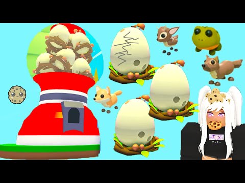 New Surprise Woodland Egg Pets in Adopt Me