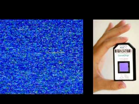 Lubert Stryer - 2006 National Medal of Science