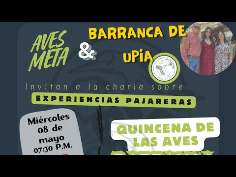 Experiencias pajareras - Barranca de Upía