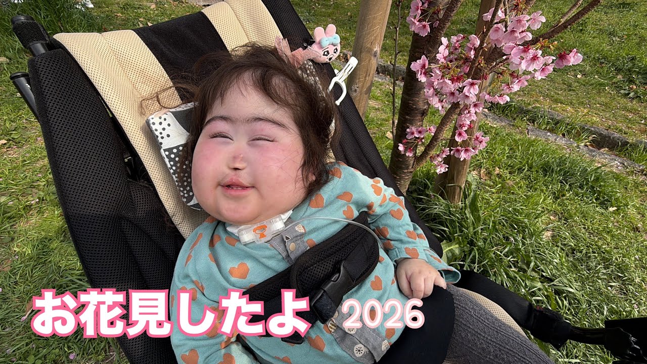 【お花見】バージョンアップした椅子でウハウハリン♡