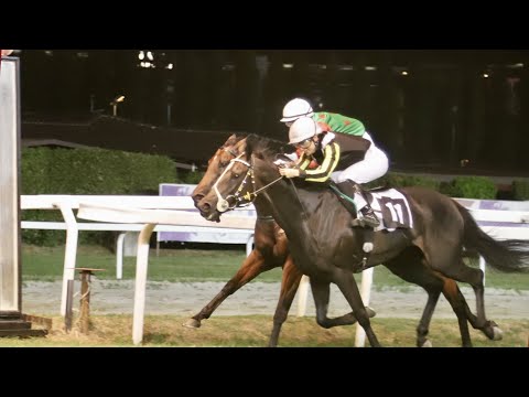 EQUOS MONDO GALOPPO puntata 12