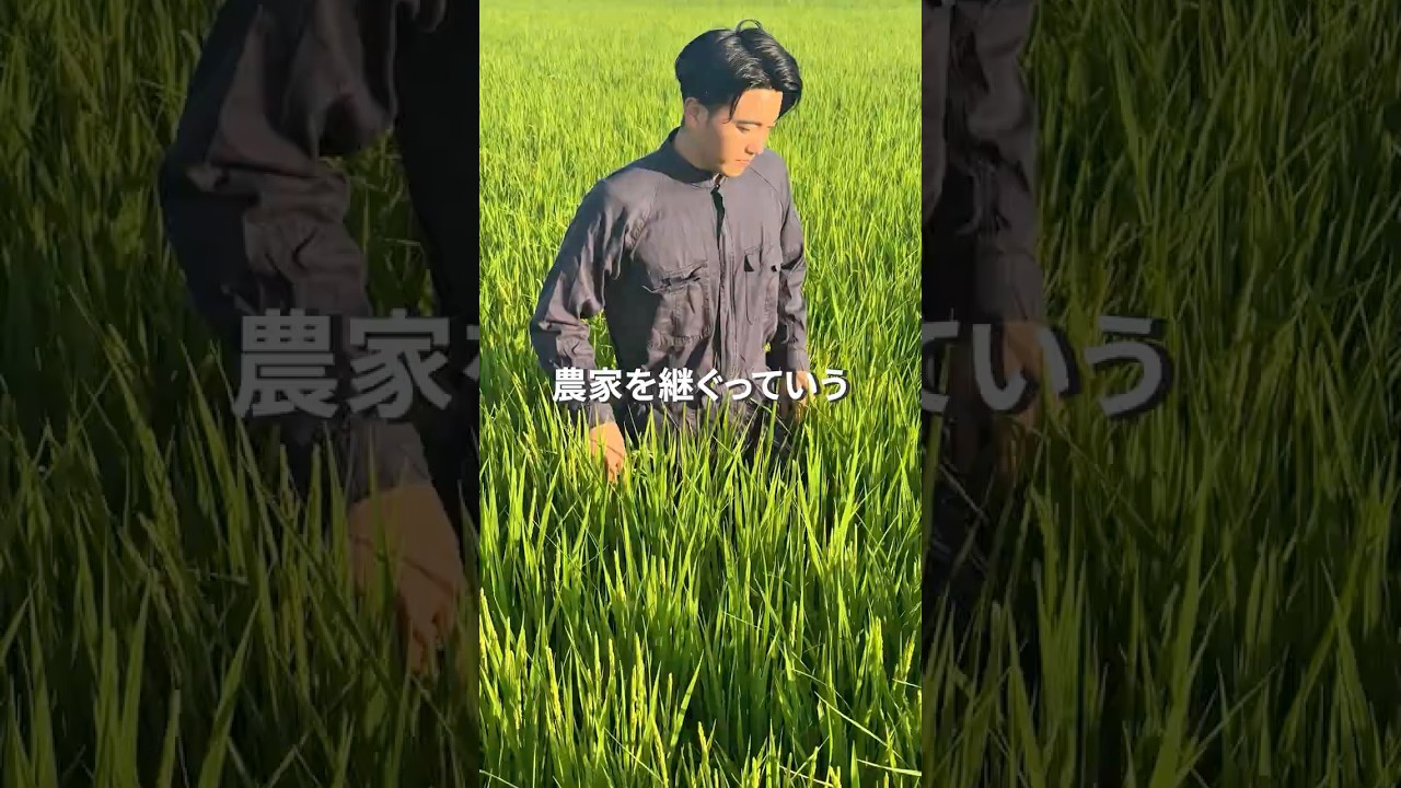 📹 親子米ご購入者さまインタビュー①