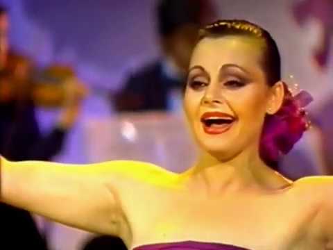 La Gata Bajo La lluvia Lyrics English Translation La Gata Bajo La lluvia Lyrics English Translation