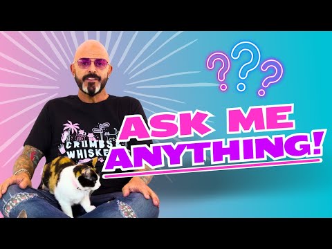 How many cats is too many? Do I even like dogs? and MORE!