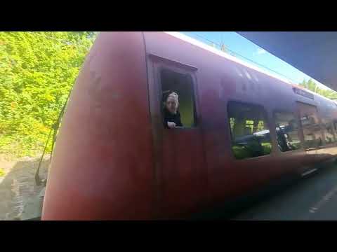 The Mammoth King Part 15 Ellie Chased Po / The Reunion 