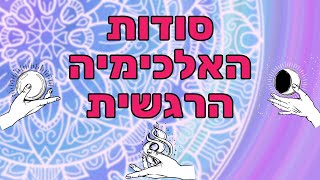 אלכימיה רגשית - עם עמית אור מצליח