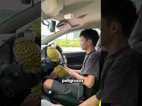 La Peor Primera Clase de Manejo