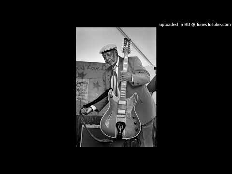 Robert Lockwood Jr. @ Chicago Blues Festival 1995 - 01 - Sonny Payne/Opening Instrumental