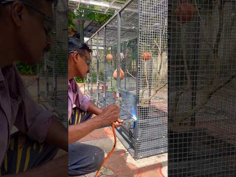 Cage work progressing 😍#birds #cage #work #lovebirds #parrots