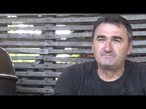 Zbog dobrog roda, pečenje rakije započelo ranije ove godine, Leposavac sa 100 zlatnih medalja