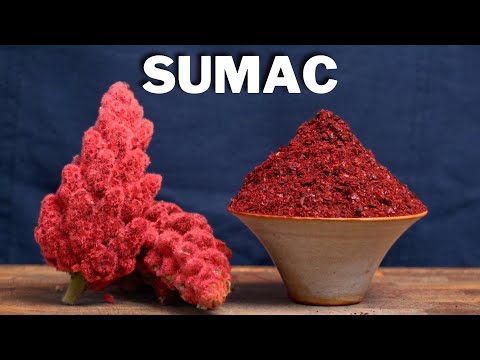Here’s Why Sumac, of All Spices, Is my New Kitchen Staple