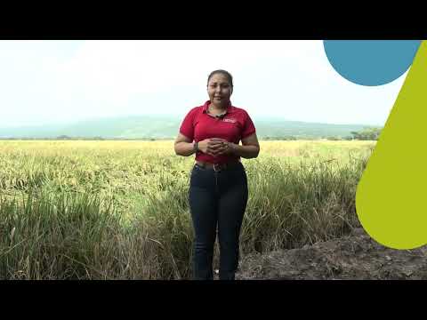 Generalidades de la Modalidad IV Ciclo / San Isidro/ Matagalpa.