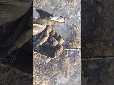 Hermosa moneda colonia española @minelablatam #minelablatam #minelab #parati