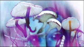 The Legendary Pink Dots - Premonition 39